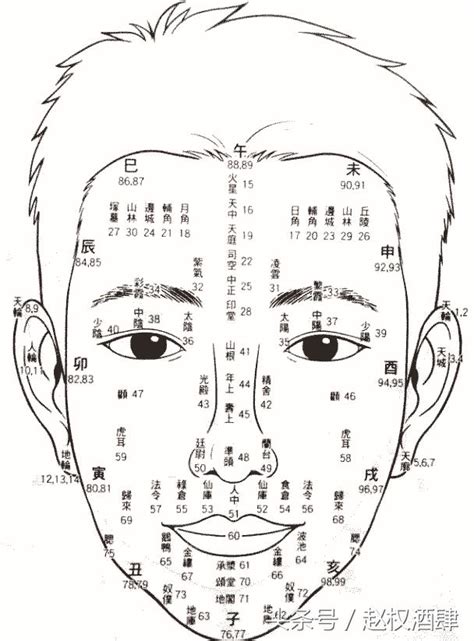 面相年齡